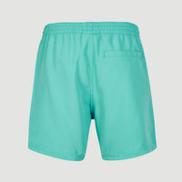 Short de bain Cali State 15 | Sea Green