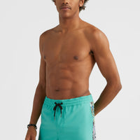 Short de bain Coast Ocean 15'' | Sea Green