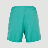 Short de bain Coast Ocean 15'' | Sea Green