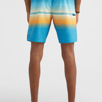 Boardshort rayé Heat 19'' | Princess Blue