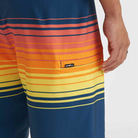 Boardshort Hyperfreak Heat Stripe Line 19 | Indigo Stripe Panel