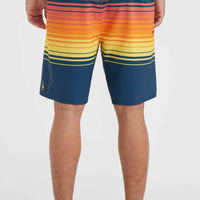 Boardshort Hyperfreak Heat Stripe Line 19 | Indigo Stripe Panel