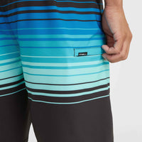 Boardshort Hyperfreak Heat Stripe Line 19 | Black Stripe Panel