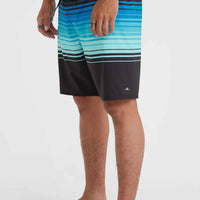 Boardshort Hyperfreak Heat Stripe Line 19 | Black Stripe Panel