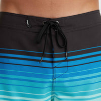 Boardshort Hyperfreak Heat Stripe Line 19 | Black Stripe Panel