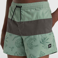 Short de bain Mix and Match Cali Block 15\