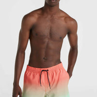 Short de bain Jack O'Neill Cali Gradient 15'' | Living Coral Simple Gradient Panel