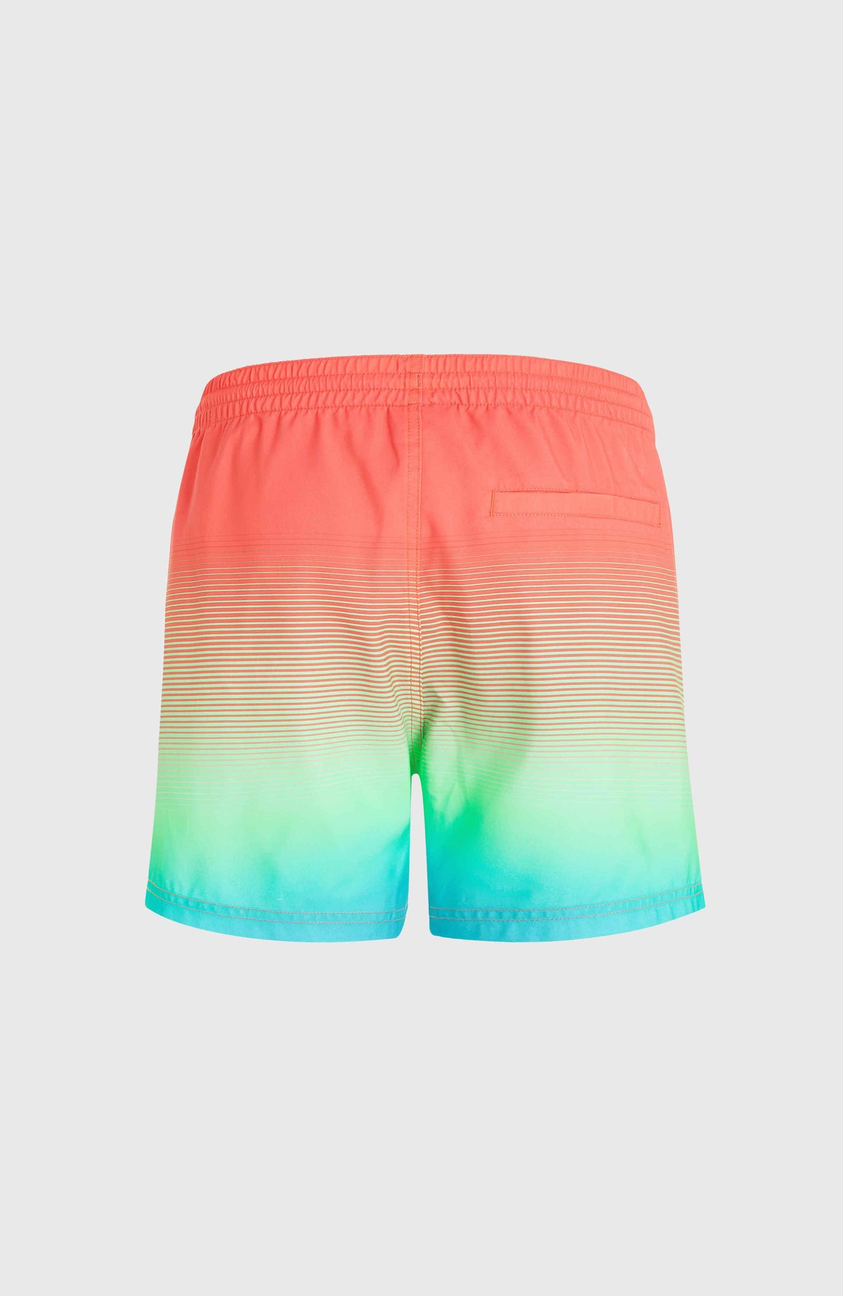Short de bain Jack O'Neill Cali Gradient 15'' | Living Coral Simple Gradient Panel