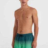 Short de bain Jack O'Neill Cali Gradient 15\