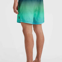 Short de bain Jack O'Neill Cali Gradient 15\