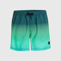 Short de bain Jack O'Neill Cali Gradient 15\