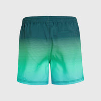 Short de bain Jack O'Neill Cali Gradient 15'' | Beetle Juice Simple Gradient Panel