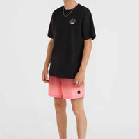 Short de bain Jack O'Neill Cali Gradient 15\