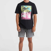 Short de bain Jack O'Neill Cali Gradient 15\