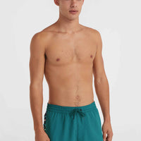 Short de bain Jack O'Neill Vert 14'' | Beetle Juice