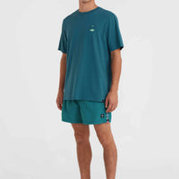 Short de bain Jack O'Neill Vert 14'' | Beetle Juice