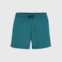 Short de bain Jack O'Neill Vert 14'' | Beetle Juice