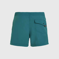 Short de bain Jack O'Neill Vert 14'' | Beetle Juice