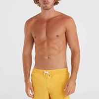 Short de bain Vert 16'' | Golden Haze