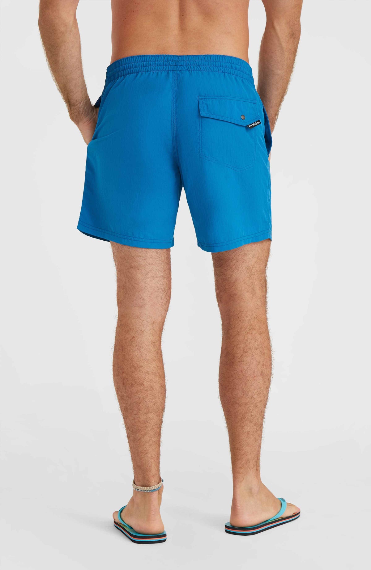 Short de bain Vert 16'' | Mary Poppins