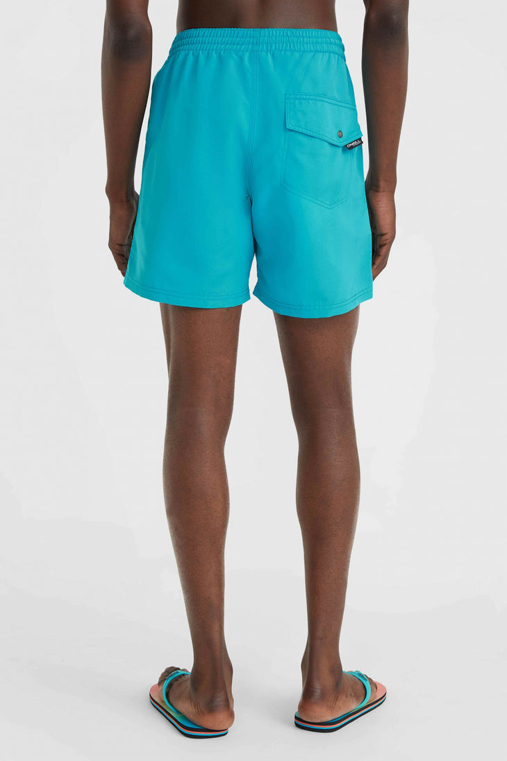 Short de bain Vert 16'' | Neon Blue