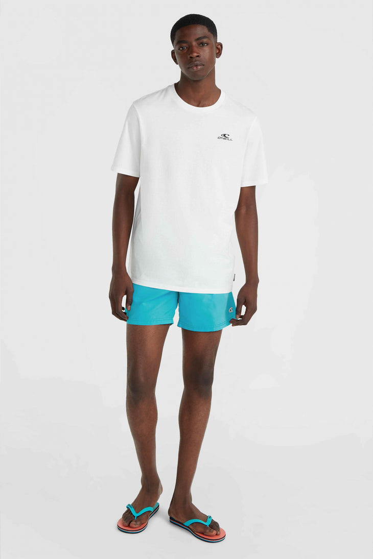 Short de bain Vert 16'' | Neon Blue