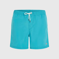 Short de bain Vert 16'' | Neon Blue