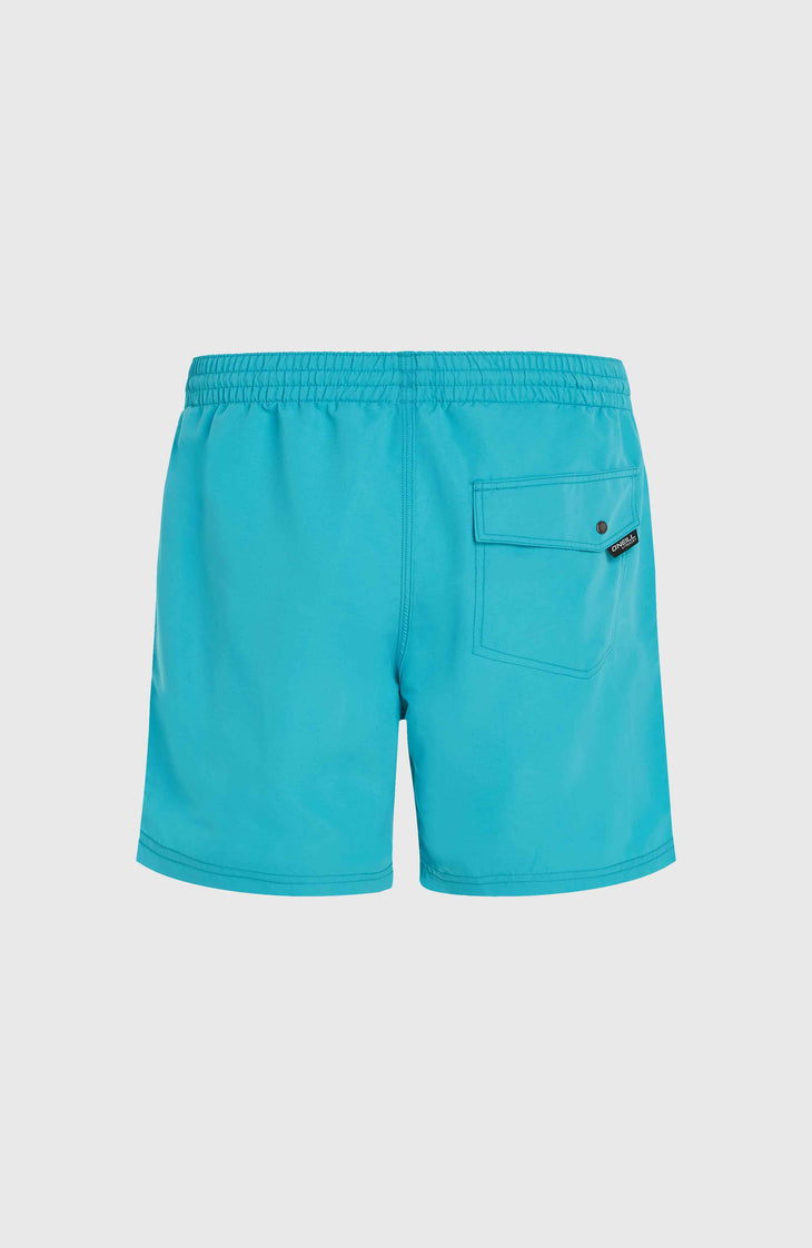 Short de bain Vert 16'' | Neon Blue