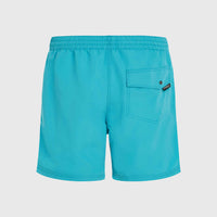 Short de bain Vert 16'' | Neon Blue