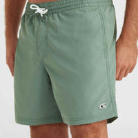 Short de bain Vert 16'' | Lily Pad