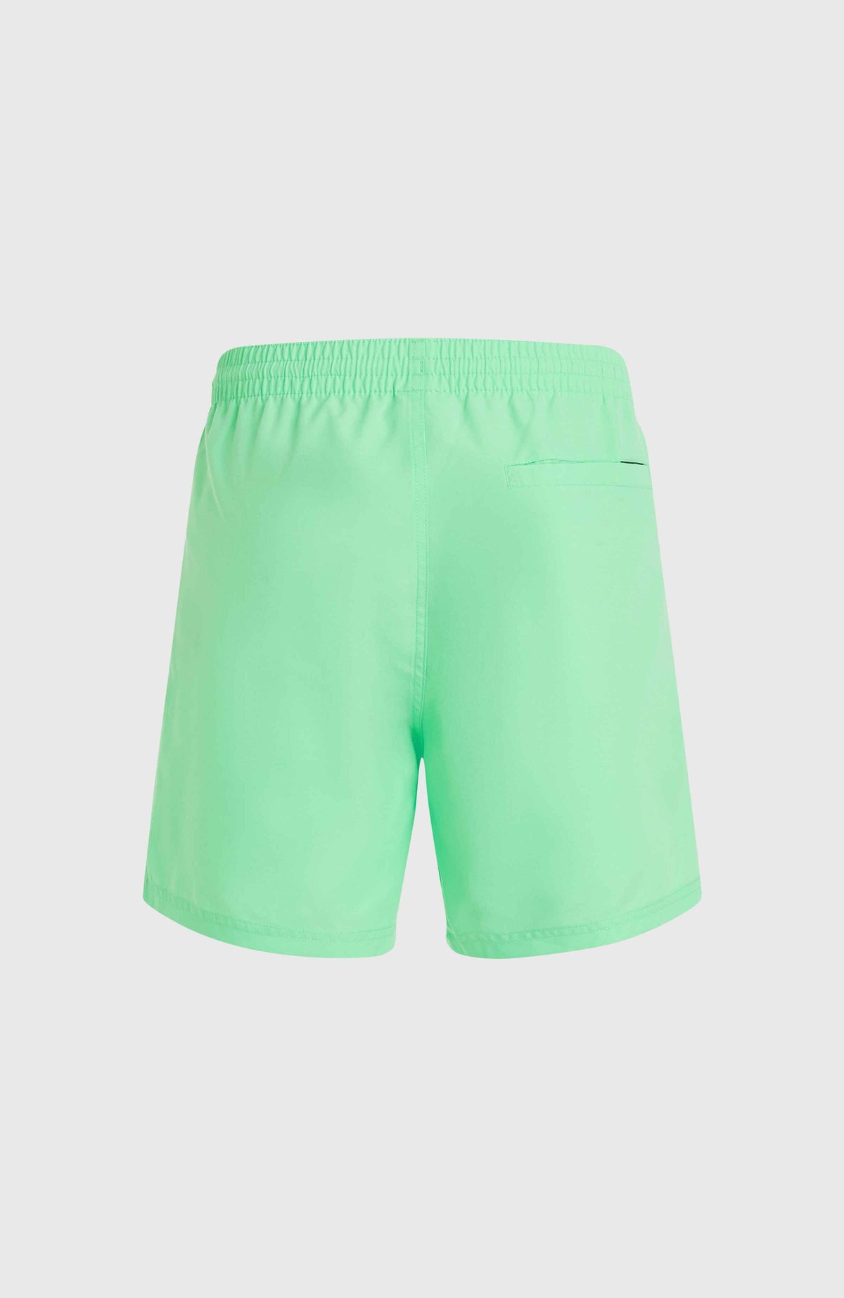 Short de bain Cali 16'' | Neon Green