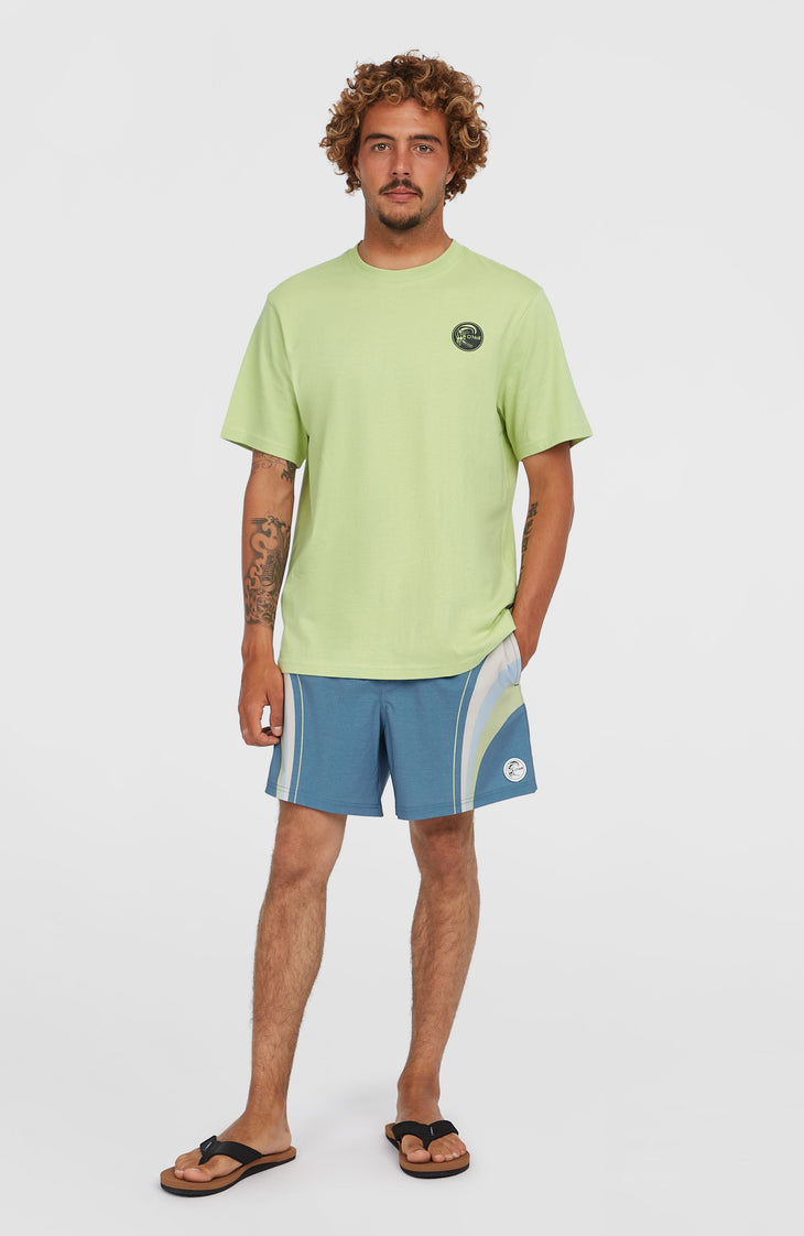 Short de bain O'Riginals Longboard 15 | Blue Originals Stripe