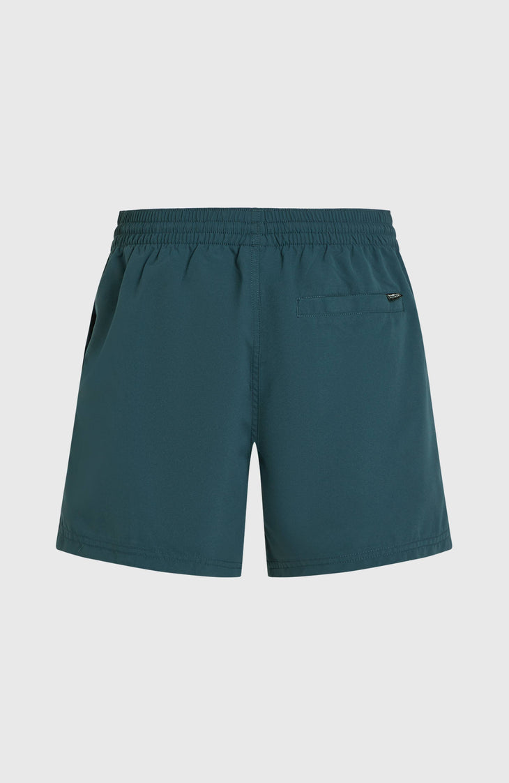 Short de bain Retro 14'' | Alma Steel Colour Block
