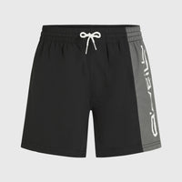 Short de bain Retro 14'' | Black Out Colour Block