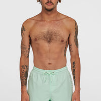 Short de bain Cali 16'' | Mildrew Mint