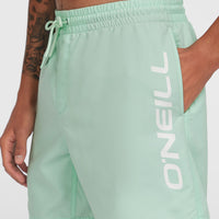 Short de bain Cali 16'' | Mildrew Mint