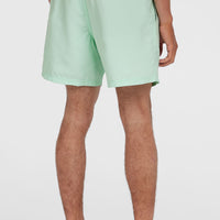 Short de bain Cali 16'' | Mildrew Mint