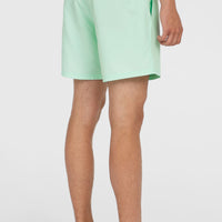 Short de bain Original Cali 16'' | Mildrew Mint