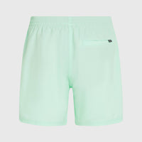 Short de bain Original Cali 16'' | Mildrew Mint