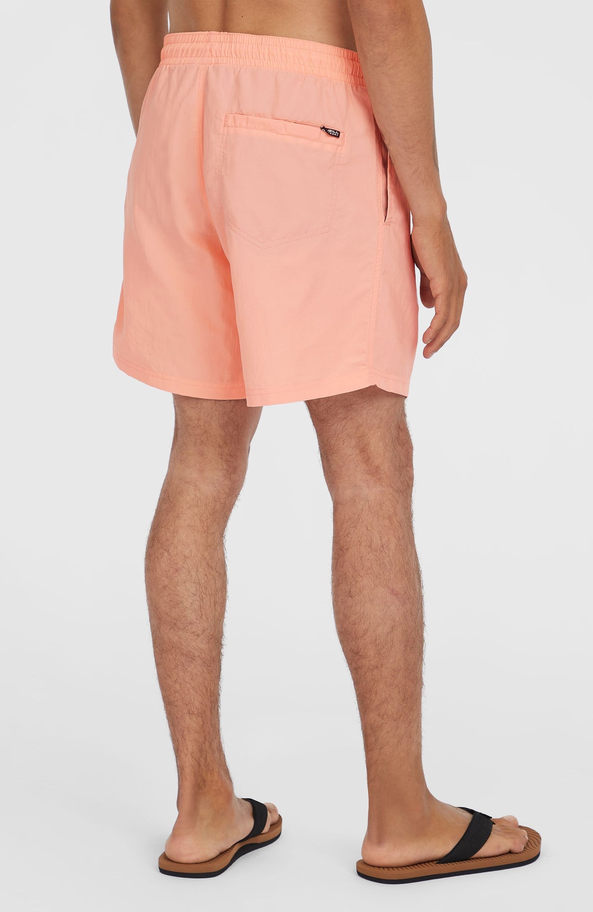 Short de bain O'Neill Vert 16'' | Coral Pop