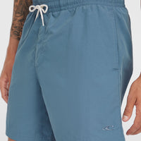 Short de bain O'Neill Vert 16'' | Copen Blue