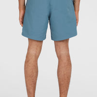 Short de bain O'Neill Vert 16'' | Copen Blue