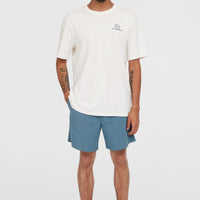 Short de bain O'Neill Vert 16'' | Copen Blue