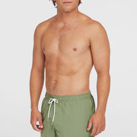 Short de bain O'Neill Vert 16'' | Avery Fern