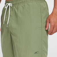 Short de bain O'Neill Vert 16'' | Avery Fern