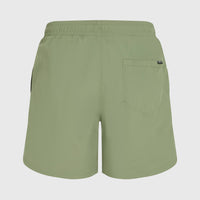 Short de bain O'Neill Vert 16'' | Avery Fern