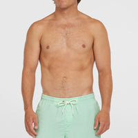 Short de bain O'Neill Vert 16'' | Mildrew Mint