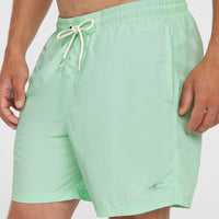 Short de bain O'Neill Vert 16'' | Mildrew Mint