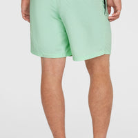 Short de bain O'Neill Vert 16'' | Mildrew Mint