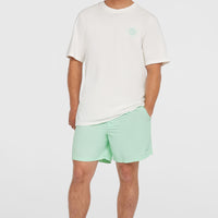 Short de bain O'Neill Vert 16'' | Mildrew Mint